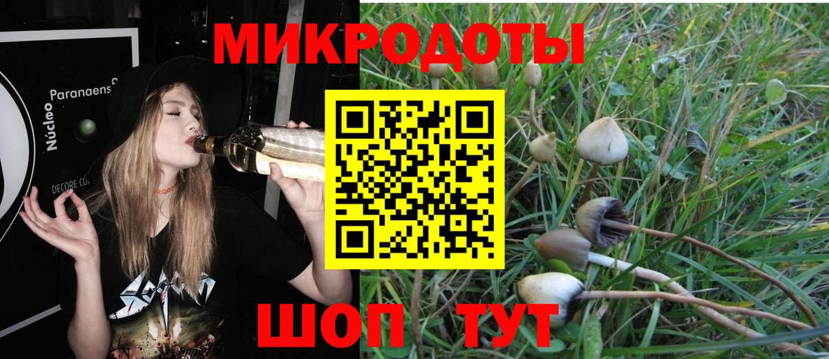 Псилоцибиновые грибы GOLDEN TEACHER Карпинск