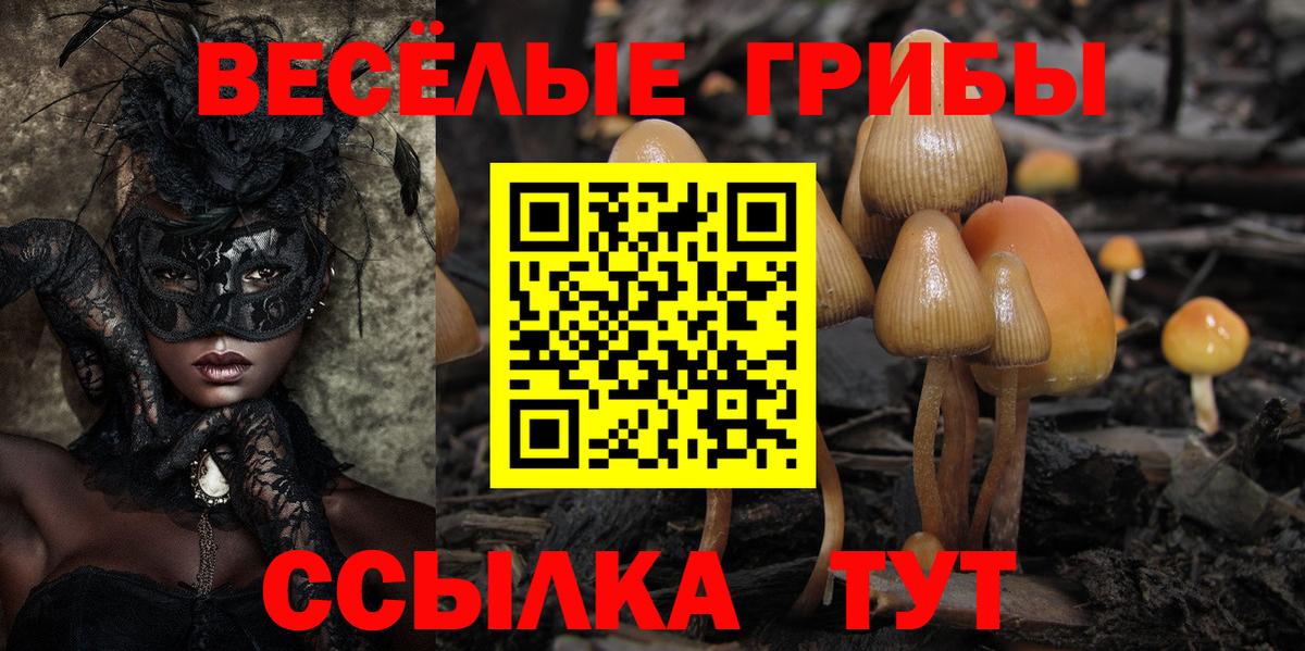 Карпинск  Галлюциногенные грибы ЛСД  Вход с VPN  Галлюциногенные грибы мицелий 